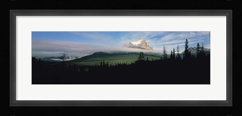Framed Silhouette of trees with a mountain in the background, Canadian Rockies, Alberta, Canada Print