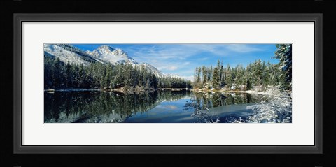 Framed Reflection of trees in a lake, Yellowstone National Park, Wyoming, USA Print