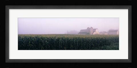 Framed Barn in a field, Illinois, USA Print