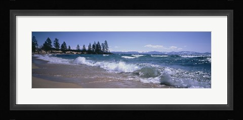 Framed Trees along a lake, Lake Tahoe, Nevada, USA Print
