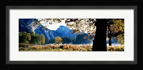 Framed Half Dome, Yosemite National Park, California, USA Print