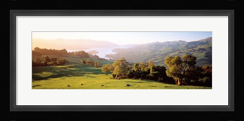 Framed Akaroa Harbor Canterbury New Zealand Print