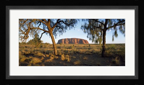 Framed Ayers Rock Australia Print