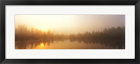 Framed Misty Morning, Volvo Bog, Illinois, USA Print