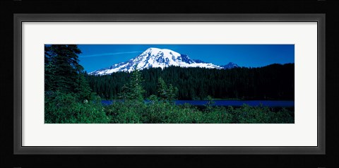 Framed Mt Rainier Mt Rainier National Park WA USA Print
