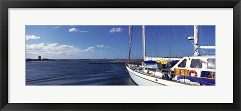 Framed Avalon, Santa Catalina Island, California, USA Print