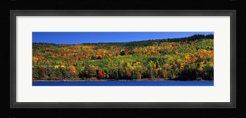 Framed Autumn Eagle Lake, Acadia National Park, Maine, USA Print