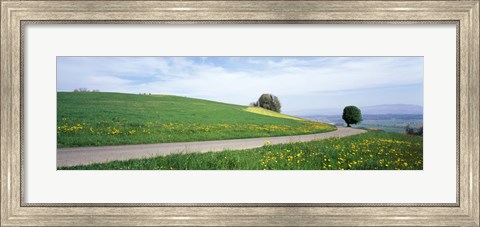 Framed Road Fields Aargau Switzerland Print