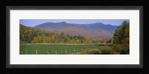 Framed Woman cycling on a road, Stowe, Vermont, USA Print