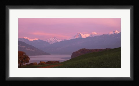 Framed Switzerland, Bernese Alps, Lake Thun Print
