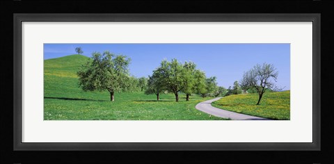 Framed Road Cantone Zug Switzerland Print