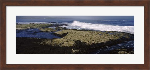 Framed Rock formations at the coast, Fernandina Island, Galapagos Islands, Ecuador Print