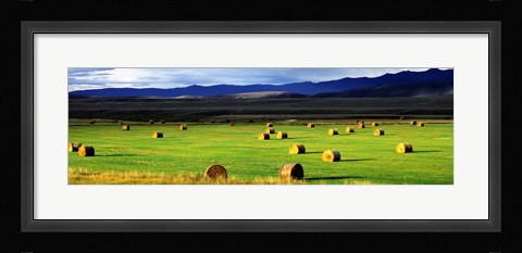 Framed Haystacks, Field, Jackson County, Colorado, USA Print