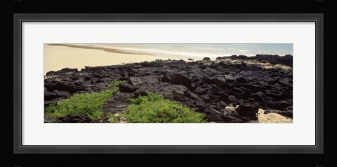 Framed Lava rocks at a coast, Floreana Island, Galapagos Islands, Ecuador Print