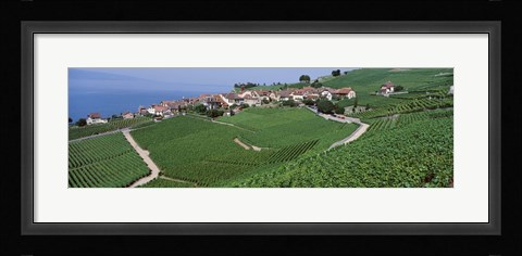 Framed Vineyards overlooking Lake Geneva, Switzerland Print