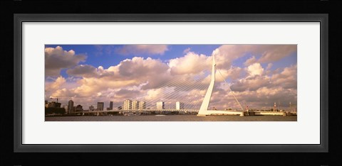 Framed Netherlands, Holland, Rotterdam, Erasmus Bridge Print