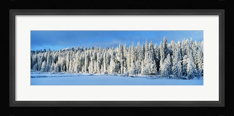 Framed Winter Wawona Meadow Yosemite National Park CA USA Print
