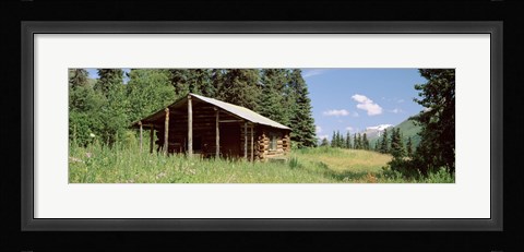 Framed Log Cabin In A Field, Kenai Peninsula, Alaska, USA Print
