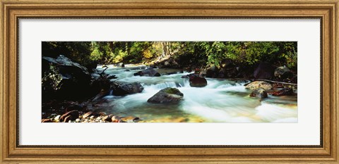 Framed Mountain Stream CO USA Print