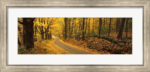 Framed Fall woods Monadnock NH USA Print