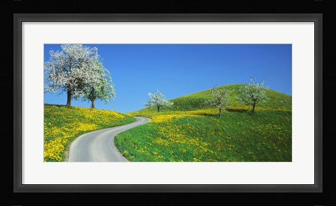 Framed Winding Road Canton Switzerland Print