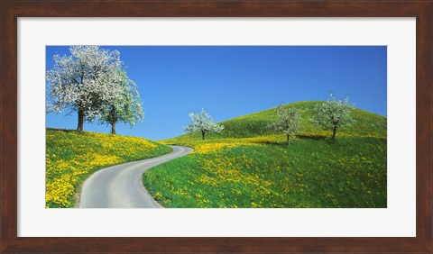 Framed Winding Road Canton Switzerland Print