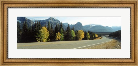 Framed Road Alberta Canada Print