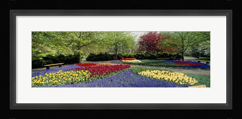 Framed Keukenhof Gardens, Lisse, Netherlands Print
