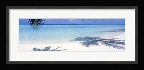 Framed Palm shadows, Laguna Maldives Print