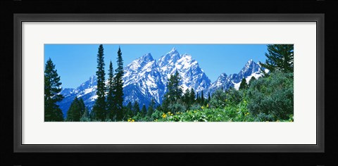Framed Snow covered peaks, Grand Teton National Park WY Print
