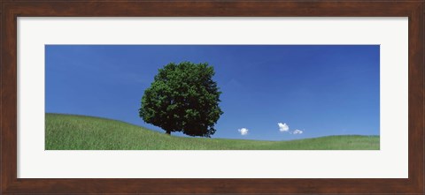 Framed View Of A Lone Tree On A Hillside In Summer Print