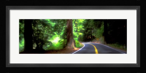 Framed Road, Redwoods, Mendocino County, California, USA Print