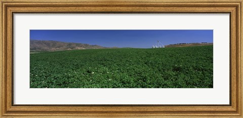 Framed USA, Idaho, Burley, Potato field surrounded by mountains Print