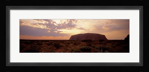 Framed Uluru-Kata Tjuta National Park Northern Territory Australia Print