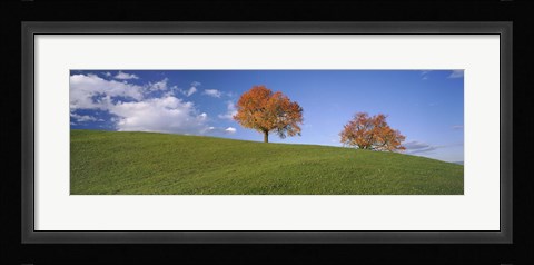 Framed Cherry Trees On A Hill, Cantone Zug, Switzerland Print