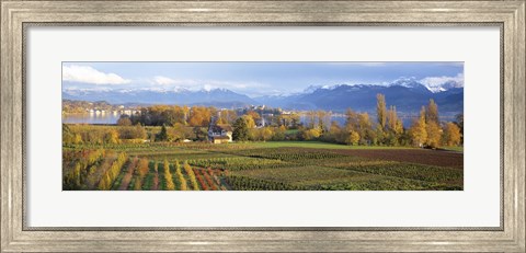 Framed Farm, Rapperswil, Zurich, Switzerland Print