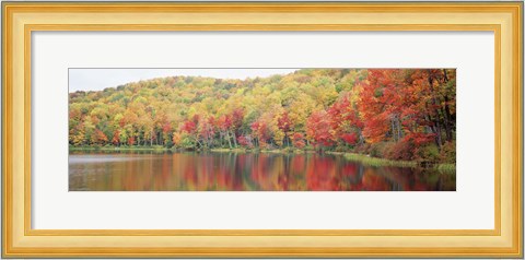 Framed Savoy Mountain State Forest, Massachusetts, USA Print