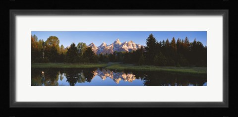 Framed Beaver Pond Grand Teton National Park WY Print