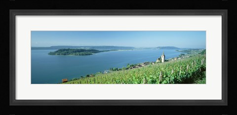 Framed Vineyard near a village, Lake Biel, Ligerz, Canton of Bern, Switzerland Print