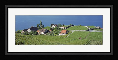 Framed Aerial View Of Vineyards By A Lake, Lake Geneva, Vaud, Switzerland Print
