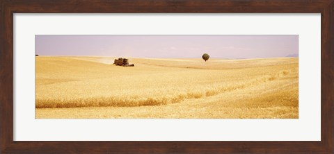 Framed Tractor, Wheat Field, Plateau De Valensole, France Print