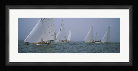 Framed Sailboats at regatta, Newport, Rhode Island, USA Print