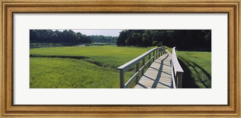 Framed Boardwalk in a field, Nauset Marsh, Cape Cod, Massachusetts, USA Print
