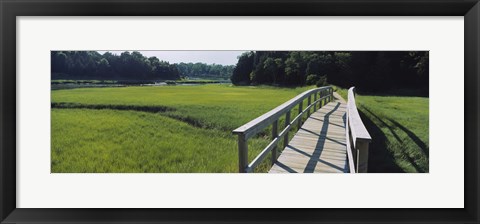 Framed Boardwalk in a field, Nauset Marsh, Cape Cod, Massachusetts, USA Print