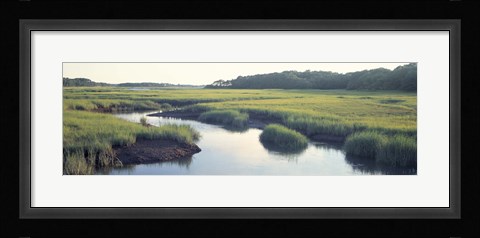 Framed Salt Marsh Cape Cod MA USA Print