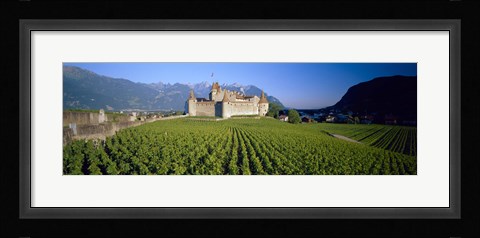 Framed Vineyard in front of a castle, Aigle Castle, Musee de la Vigne et du Vin, Aigle, Vaud, Switzerland Print