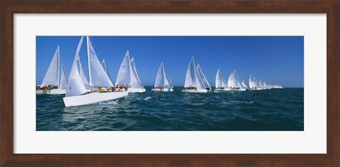Framed Sailboats racing in the ocean, Key West, Florida Print