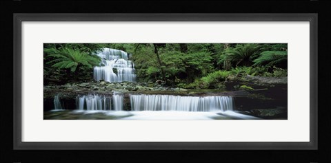 Framed Liffey Falls, Tasmania, Australia Print