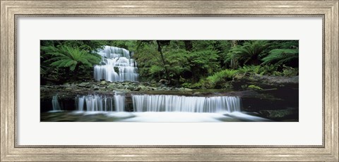 Framed Liffey Falls, Tasmania, Australia Print