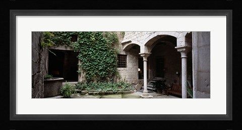 Framed Ivy on the wall of a house, Girona, Spain Print